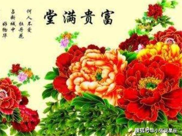 富丽堂皇打一准确生肖请全面释义、解释与落实、实时解答解释落实
